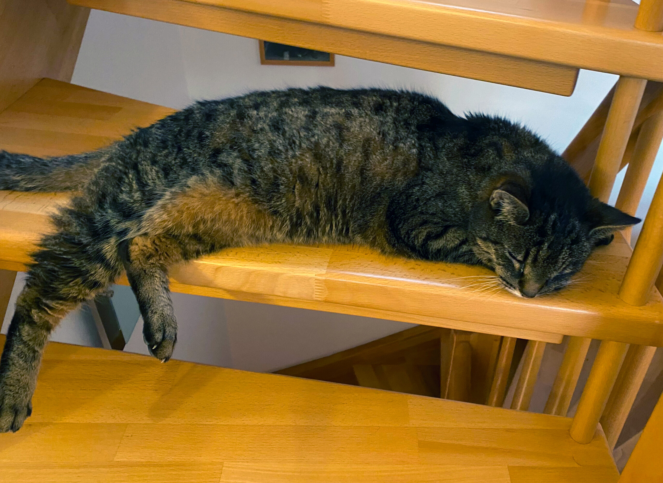 2020-11-12-Schlafen-auf-Stiege